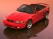 Ford Mustang Cobra Picture #2